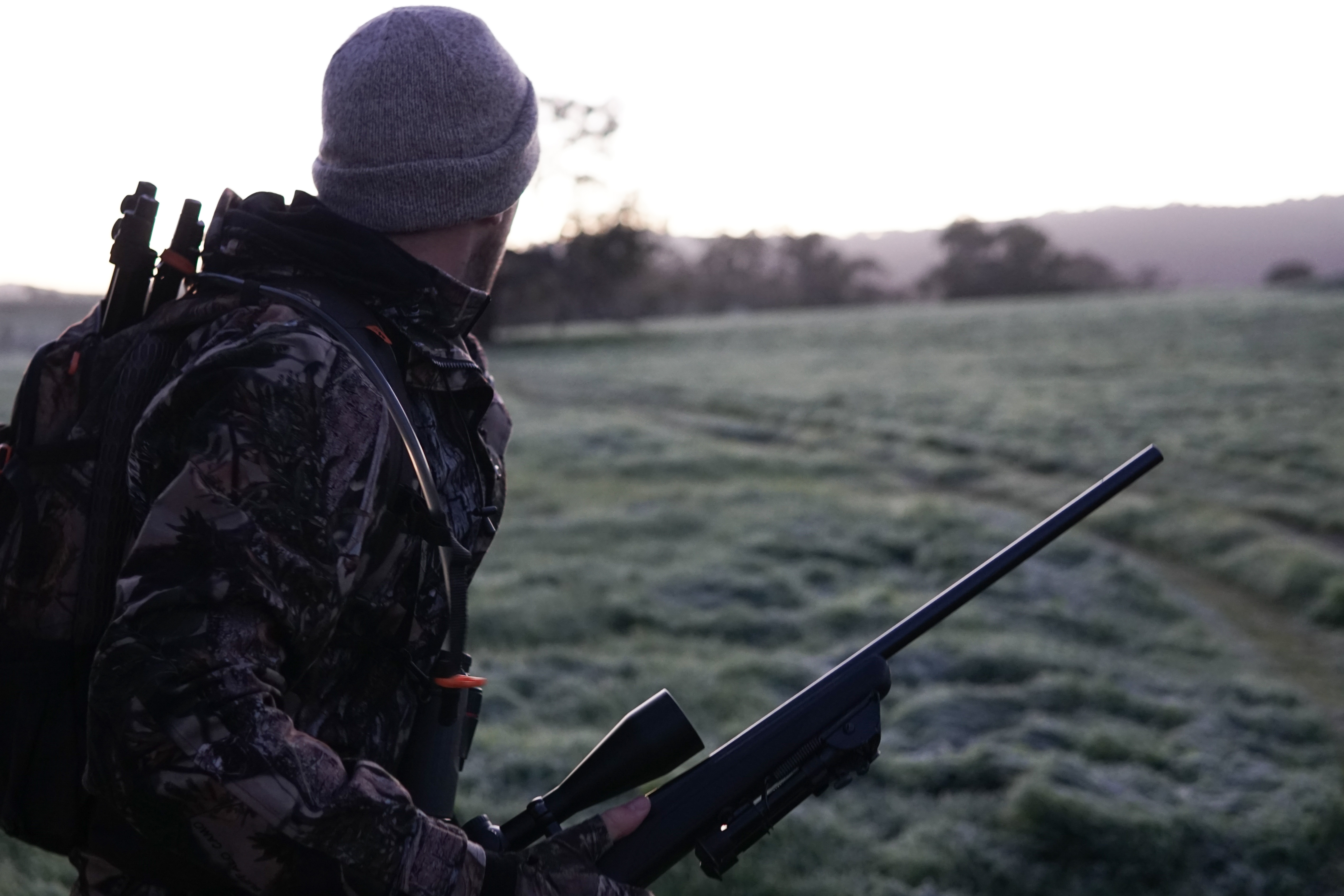 Chasse LDD.jpg