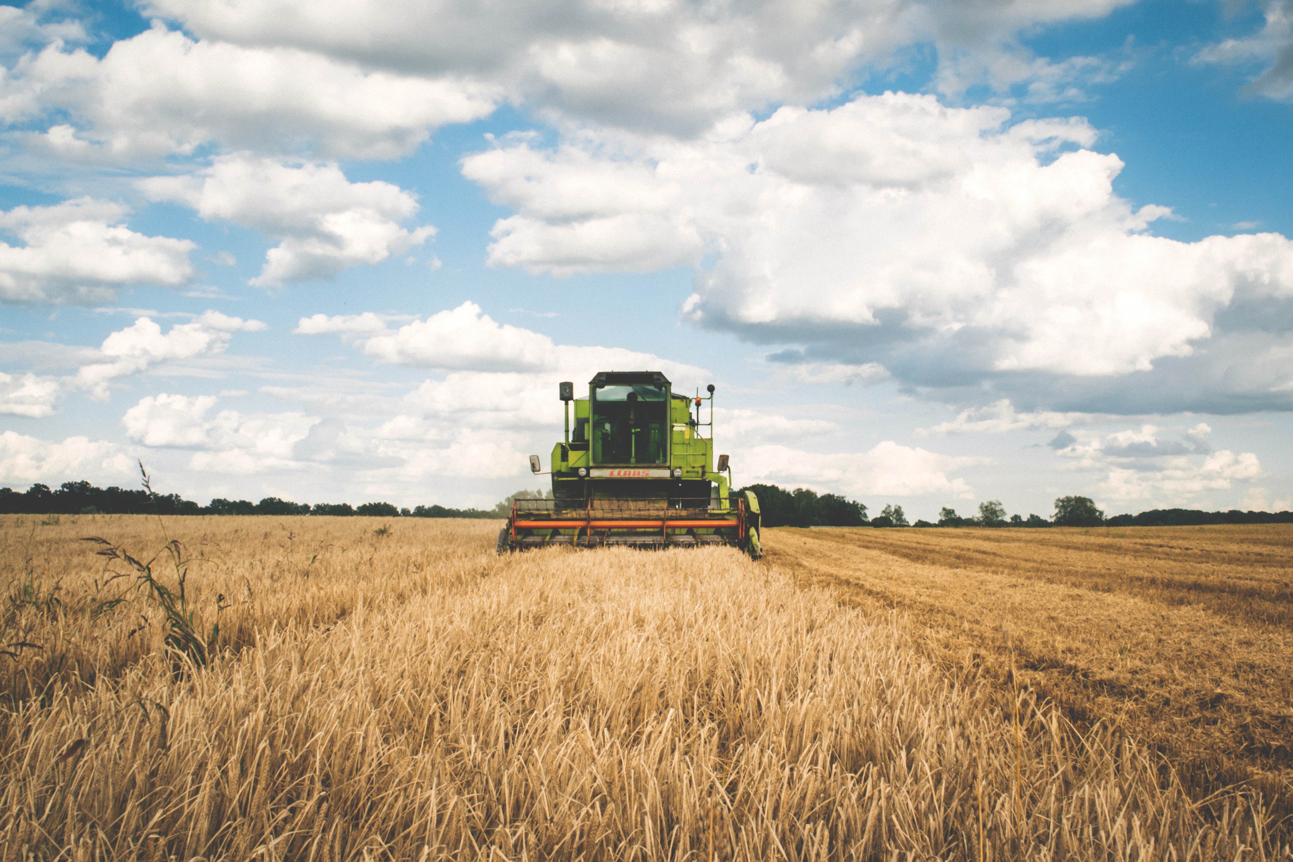 Agriculture libre de droit