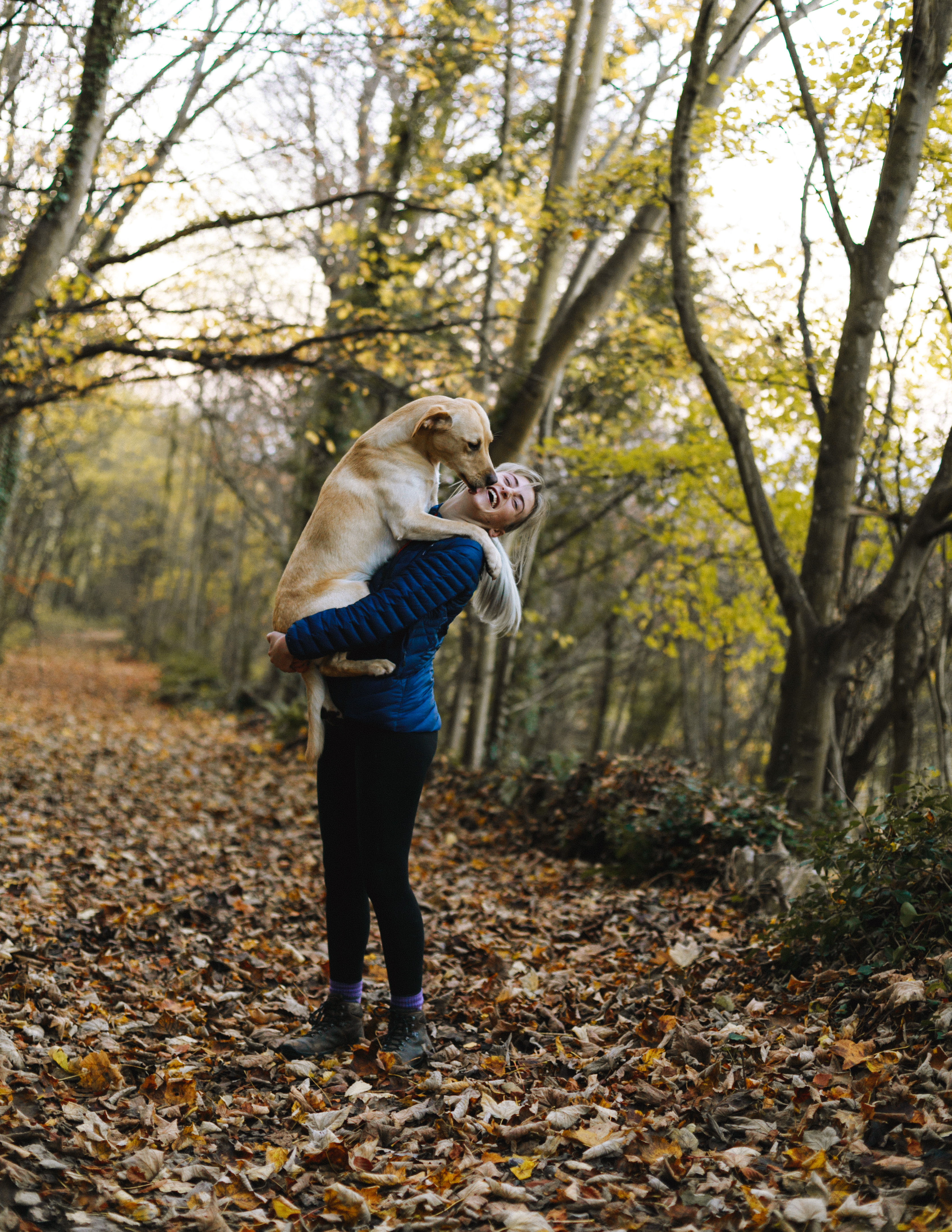 CHien animaux LDD