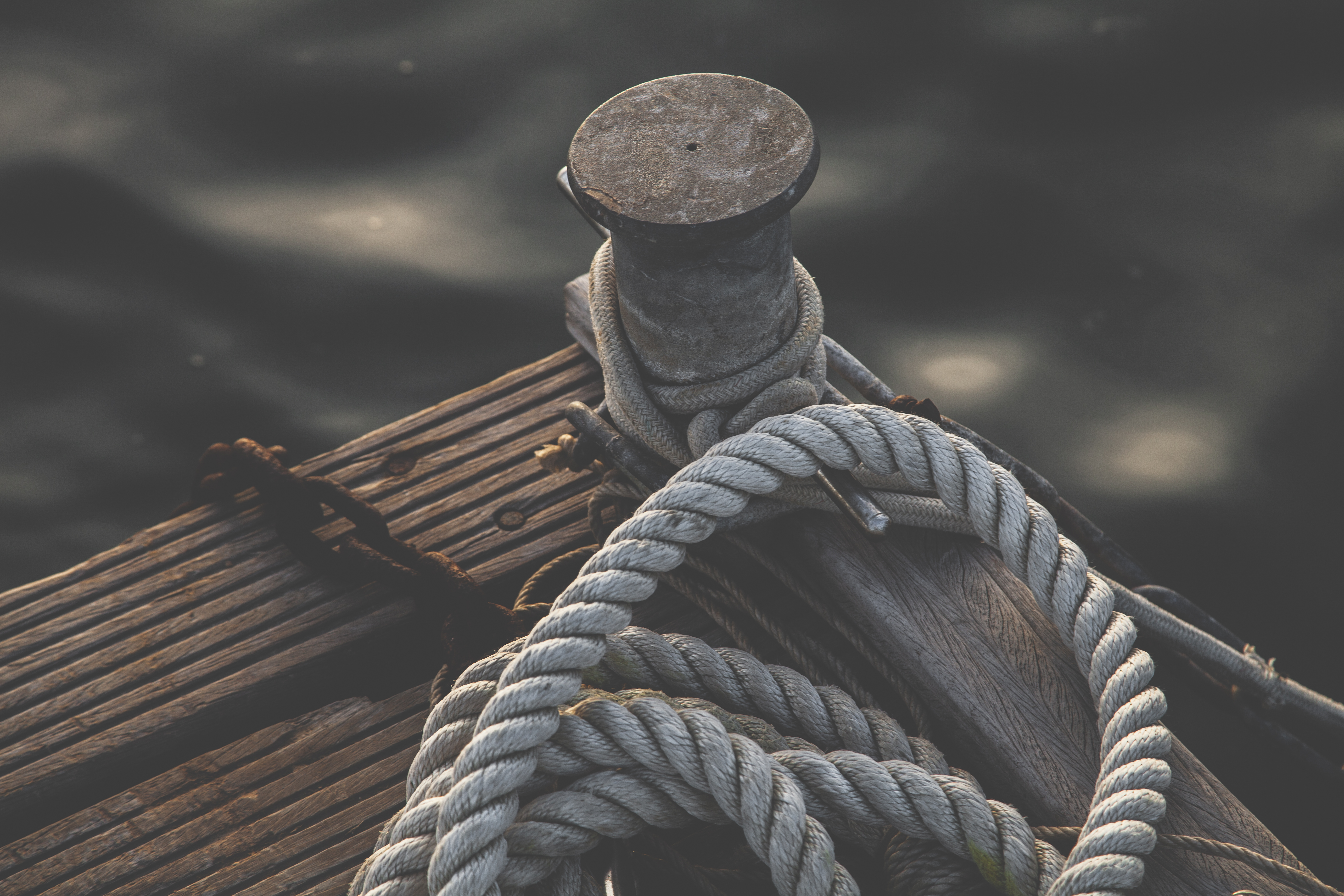 pexels-peter-fazekas-1170601