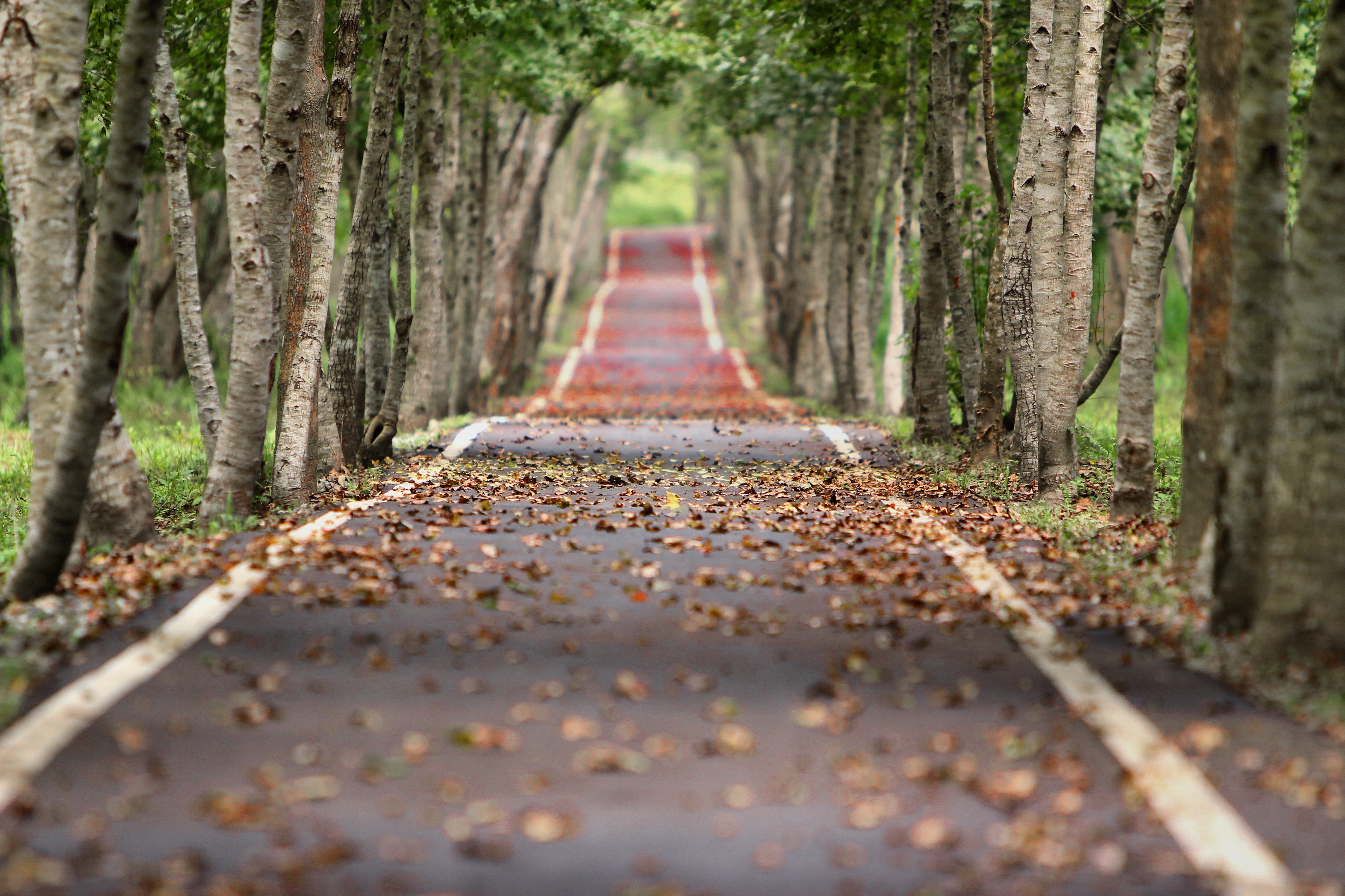 sentier promenade LDD