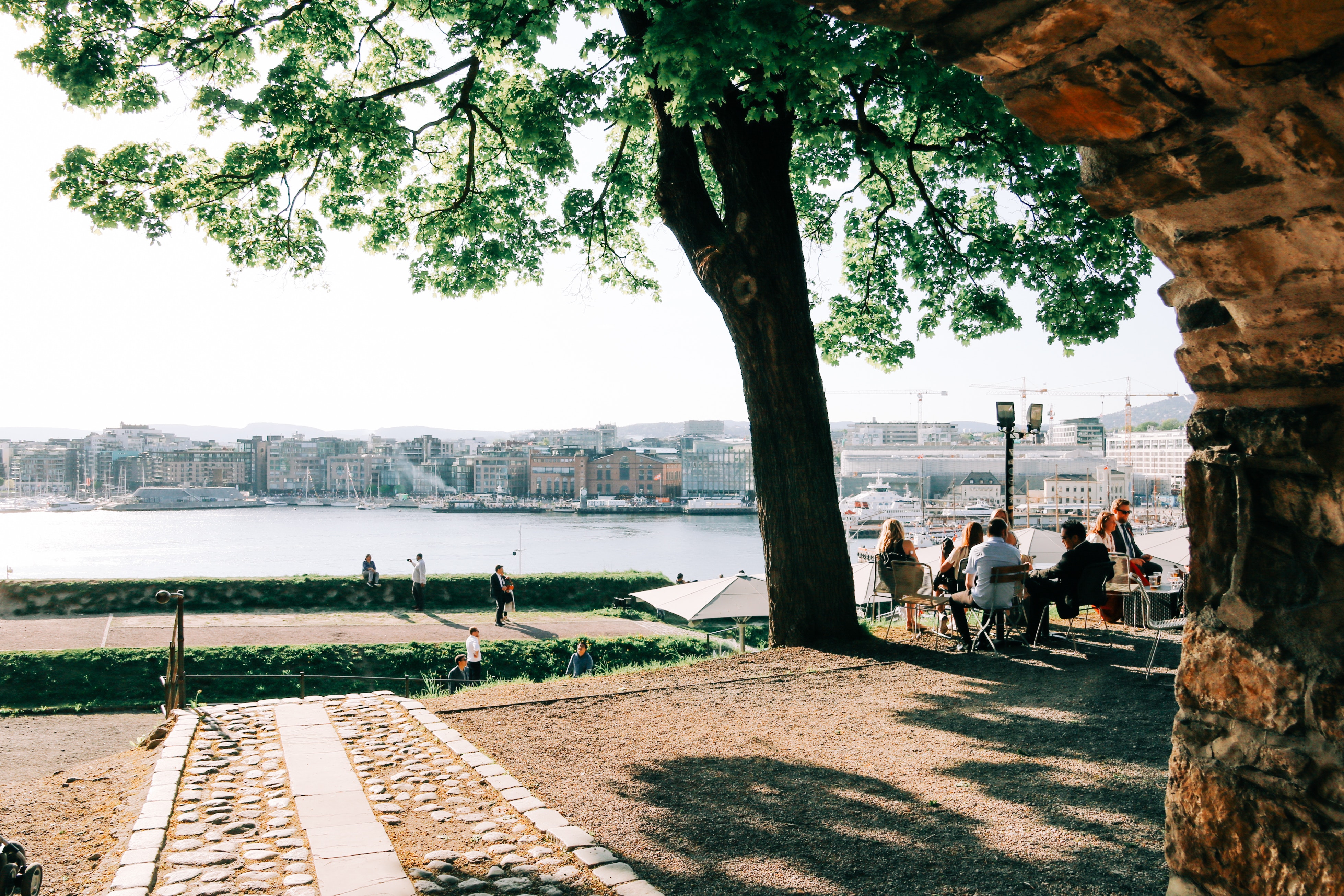 terrasse café libre de droit