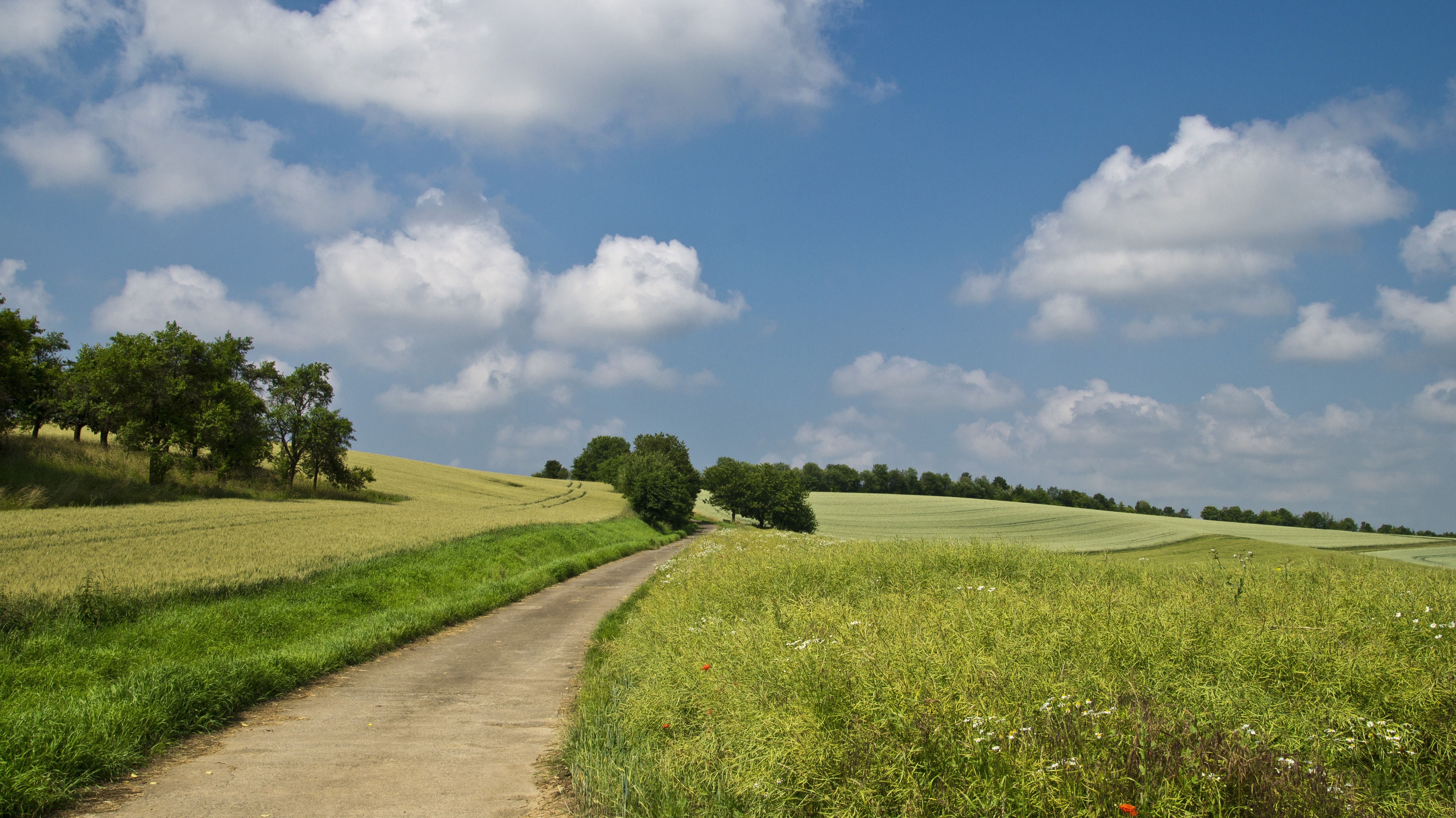 Campagne LDD copie